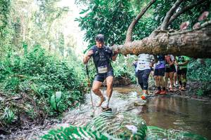 BIB: 
                            <button type="button" onclick="openModal(25476097)" class="btn btn-primary btn-sm float-right btn-popup" data-toggle="modal" data-target=".modal-high-quality">
                        <i class="fas fa-shopping-cart"></i> Add to Cart
                    </button>
                                            <button type="button" onclick="isThisMe(25476097, true)" class="btn btn-success btn-sm float-right btn-popup btn-isme hidden" data-toggle="tooltip" data-placement="bottom" title="นี่คือรูปของคุณใช่ไหม คลิกที่นี่เพื่อเอาเข้าอัลบั้ม">
                        <i class="fas fa-plus"></i> Add to album
                    </button>
                    <button type="button" onclick="isThisMe(25476097, false)" class="btn btn-warning btn-sm float-right btn-popup btn-isnotme hidden">
                        <i class="fas fa-ban"></i> Remove from album
                    </button>